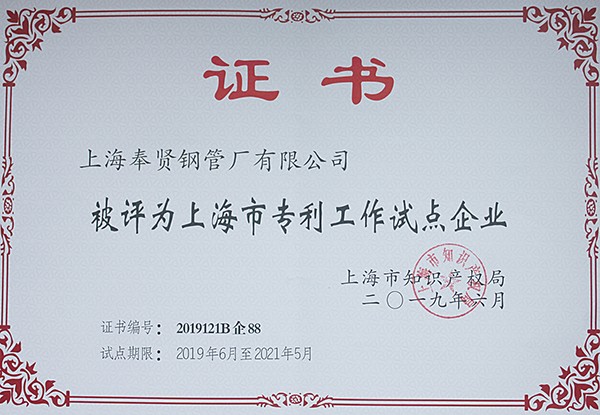 上海市专利工作试点企业